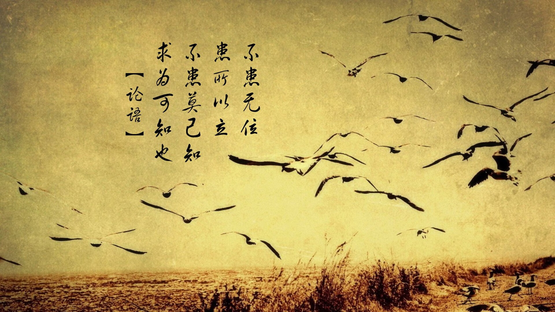 《每日邮报》：荷兰女足在预选赛中表现出色，荷兰女足官网