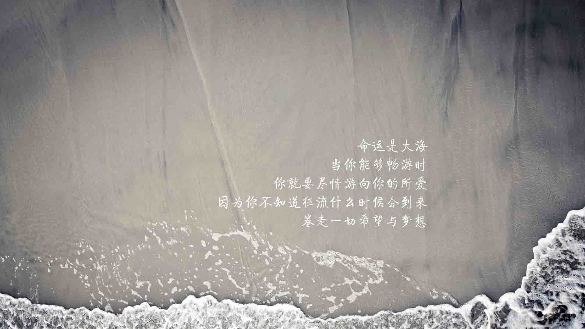 凯尔特人球员遭遇个人低谷 专家分析背后原因，凯尔特人的球员名单