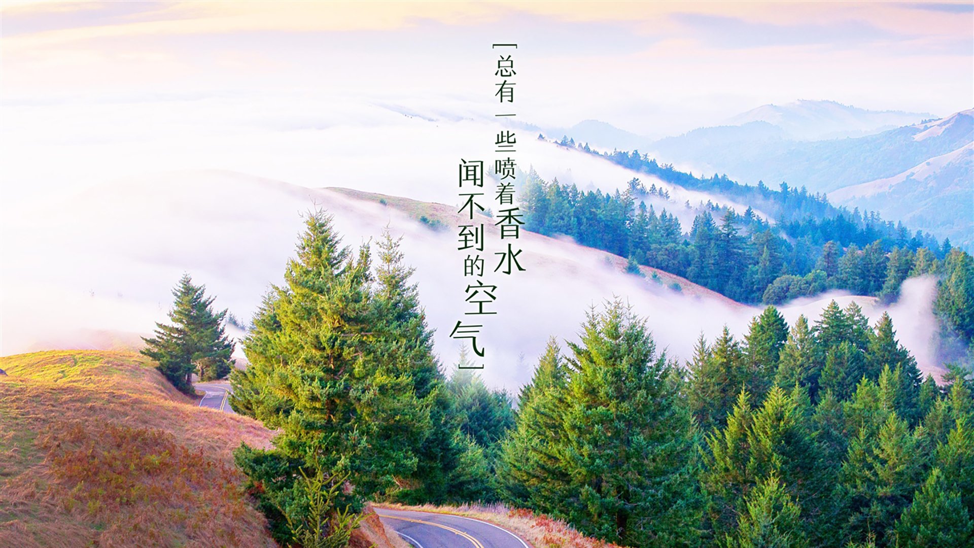 莱斯特城主场惨负谢菲联，英超球队备战欧冠苦战，莱斯特城英超夺冠阵容