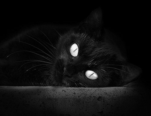 西甲新星崛起：年轻球员成为豪门争夺焦点，西甲球队球员