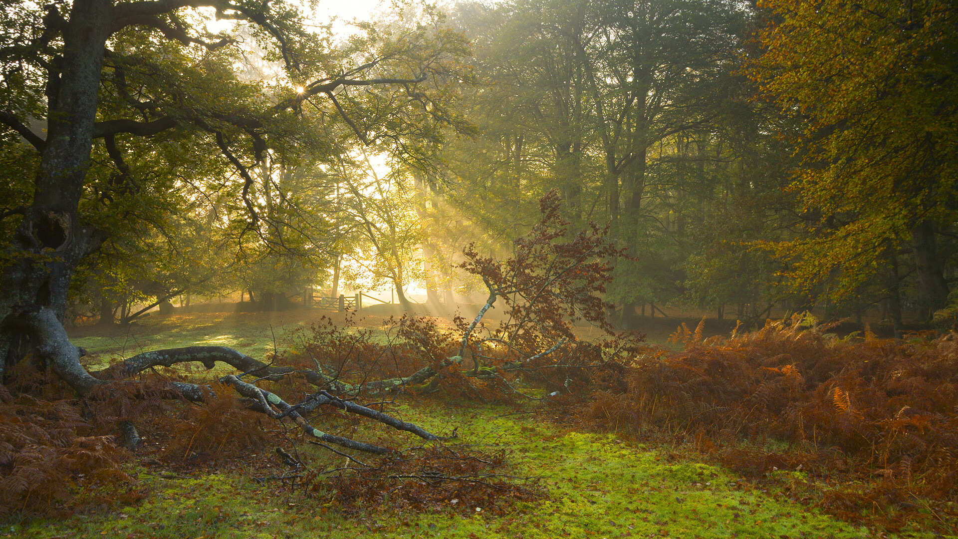 体育新闻中心协办数字体育传播场景应用测试周，体育赛事新媒体传播