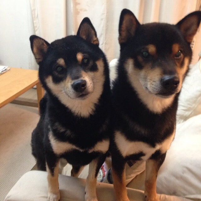 爱游戏体育APP下载-出发滑行段速度数据分析，滑行速度公式