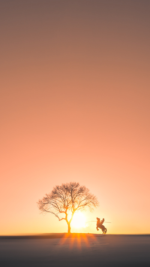 波兰队国际乒联混合团体世界杯的表现回顾与后期展望，波兰世界合体比赛