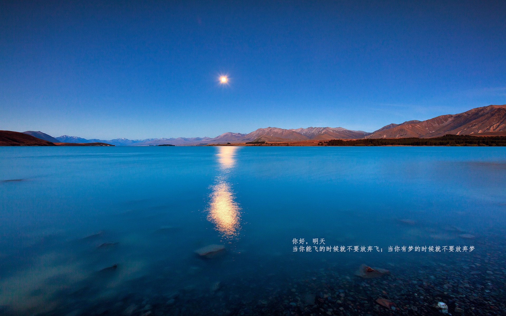 男子自游泳突破个人极限，男子自由泳比赛