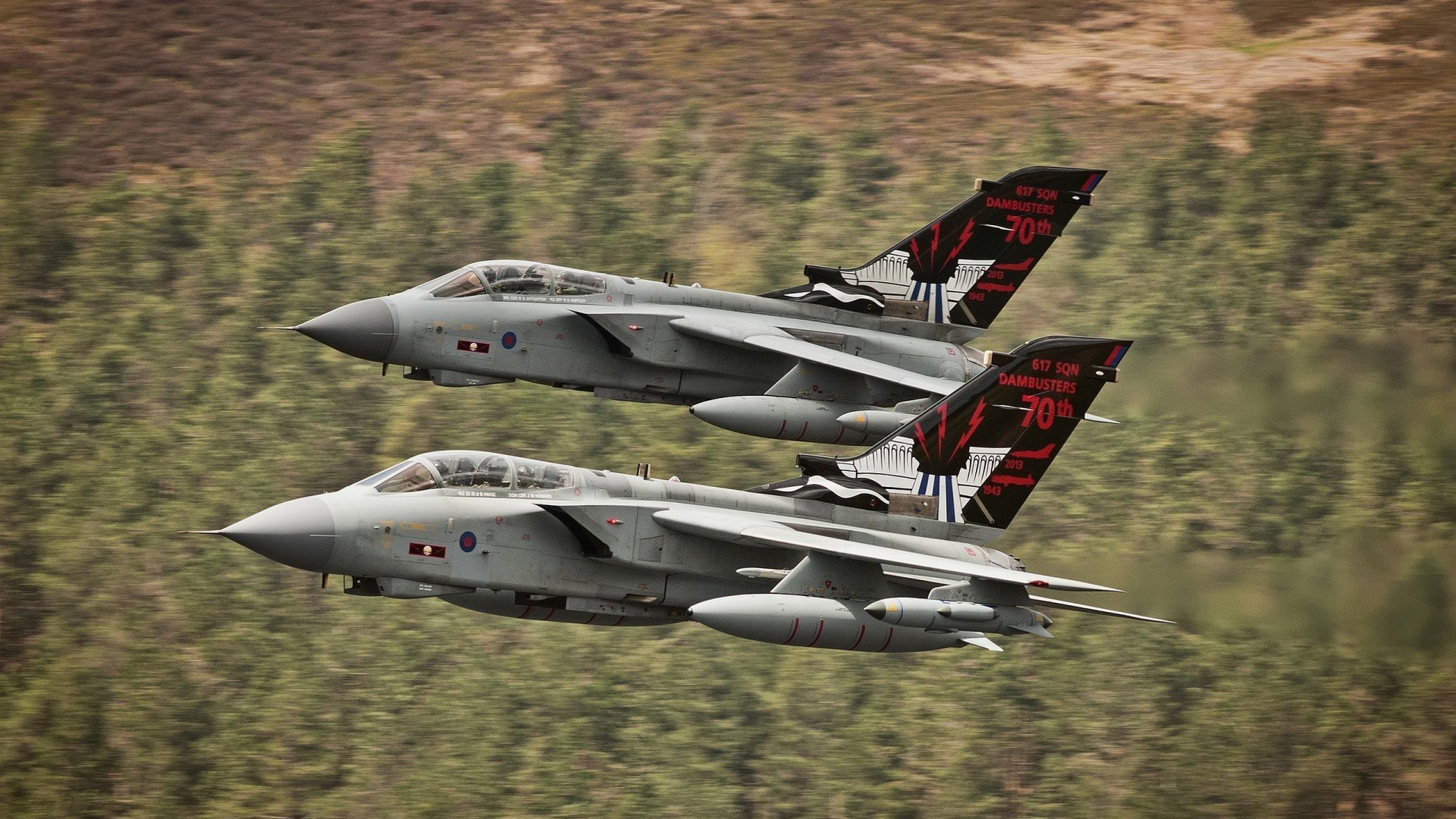 南非羚羊队：每一次反击都令人惊叹，速度与力量的完美结合，非洲羚羊种类大全