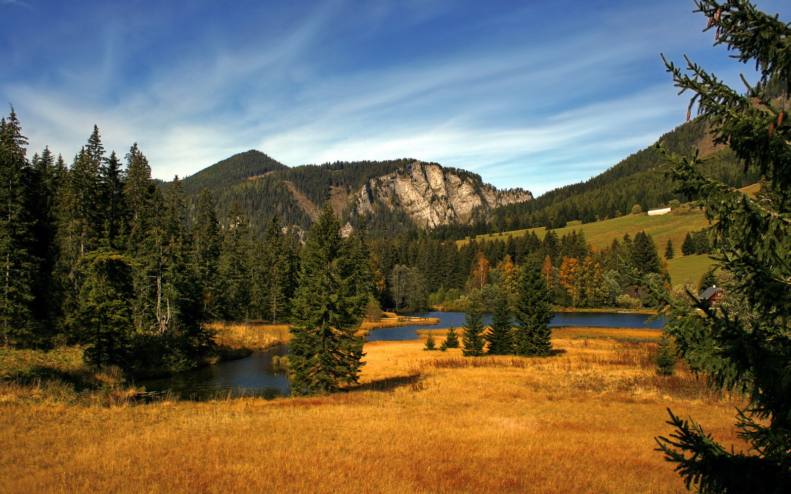 欧洲杯战场：战术智商与球员发挥的极致竞技，欧洲杯比赛分析推荐