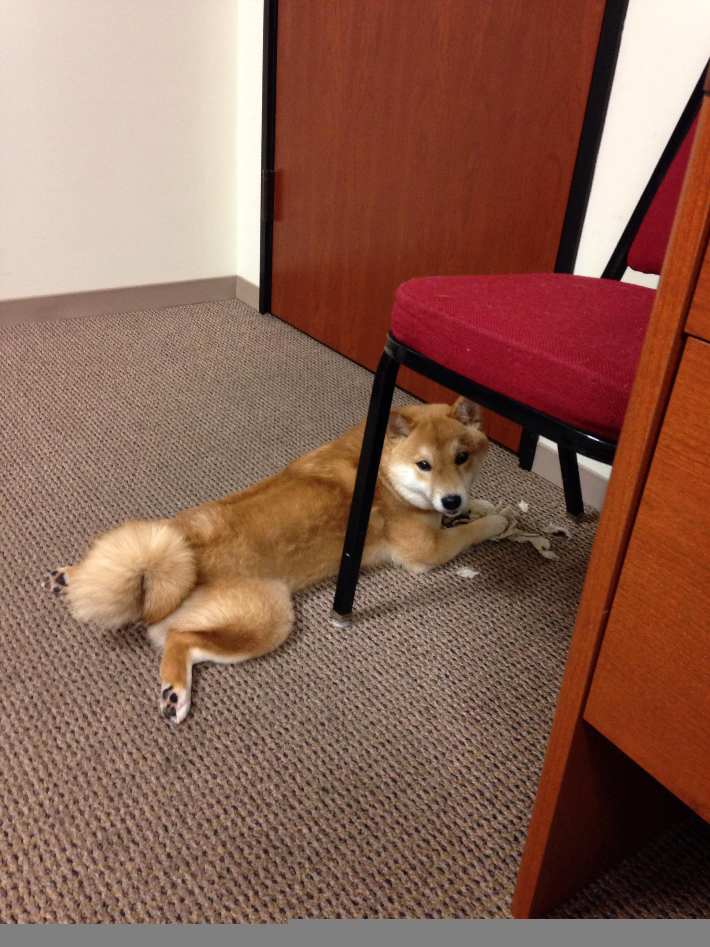 AYX GAMING-训练期间开展模拟比赛提高实战应变能力和位置转换效率，模拟训练采用的两种方式是什么