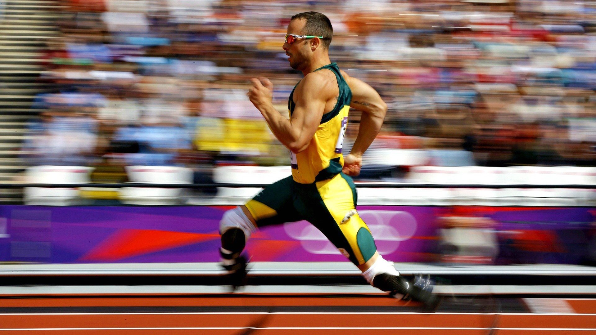 运动训练课程标准体系与学段分级机制研究,运动训练专业教学标准